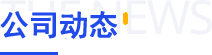 公司动态